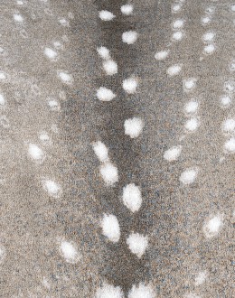 Spotted Hide Grey Rug