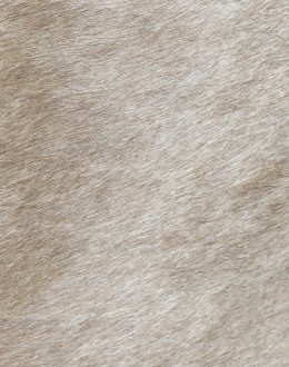 Chisum TX Blue Western Barstool Chisum TX Blue Western Barstool