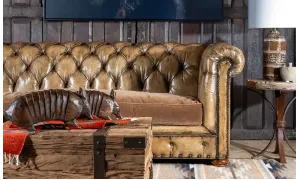 Ultimate Guide: How to Clean and Maintain Your Leather Couch or Sofa