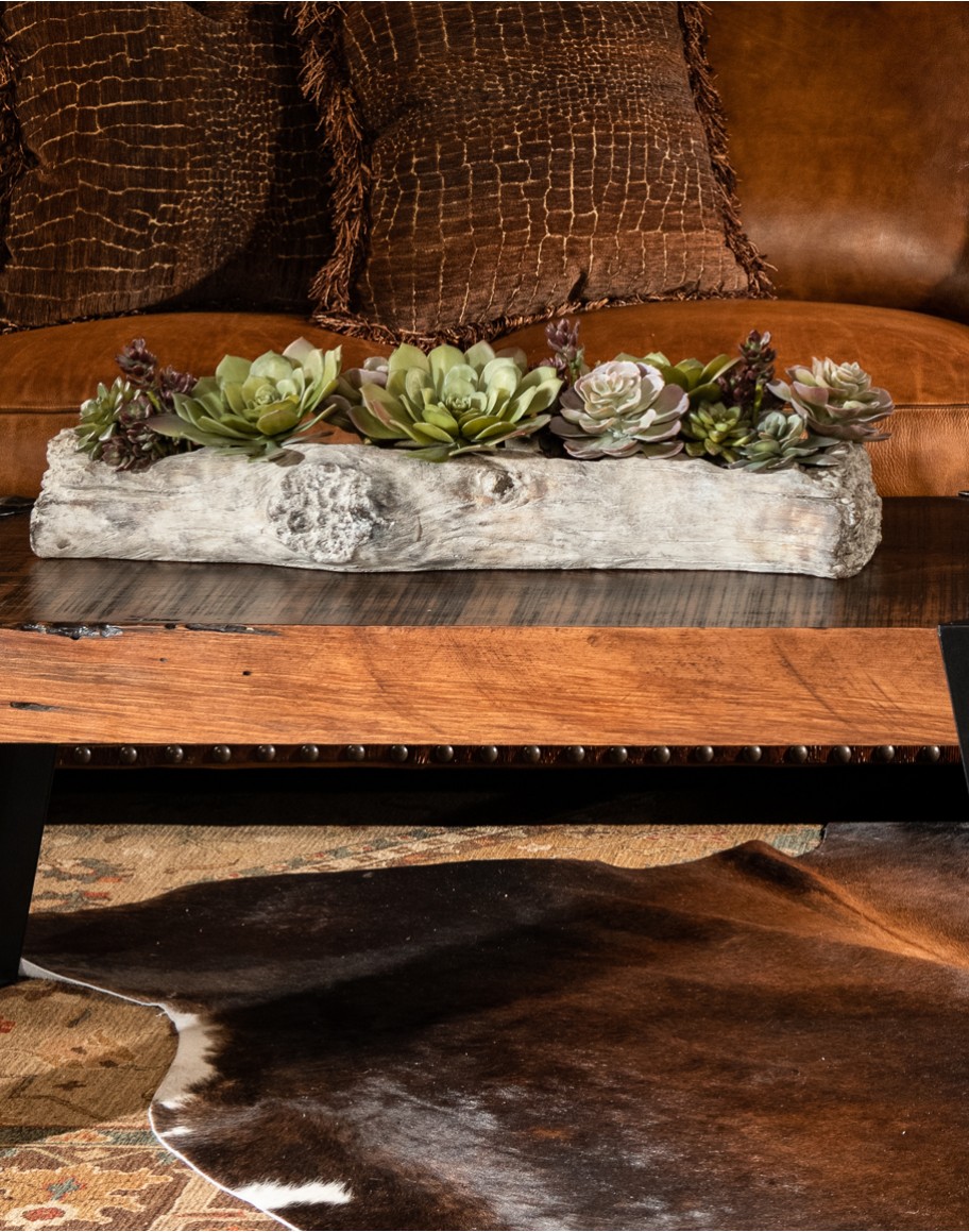 Charita Succulents Succulents for home decor