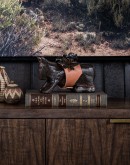 Mini Burro d'Flores Mini Burro d'Flores