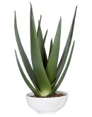faux agave plant, fine home decor products