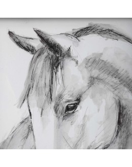 Equestrian Watercolor Framed Prints, S/2