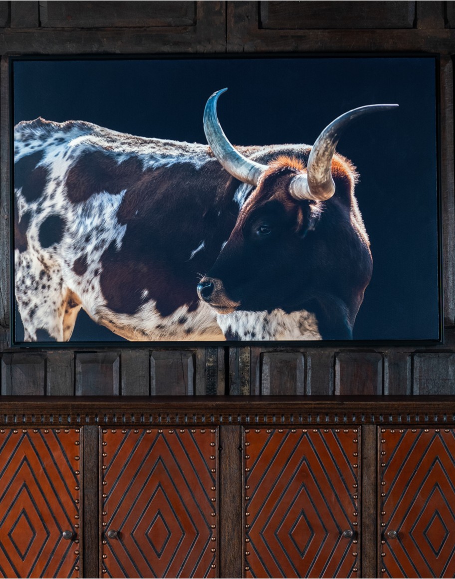 Gertie Longhorn Framed Art Gertie Longhorn Framed Art