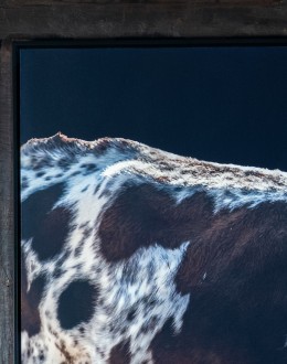 Gertie Longhorn Framed Art Gertie Longhorn Framed Art