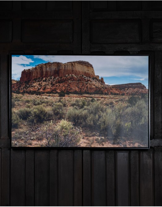 Arizona Framed Artwork