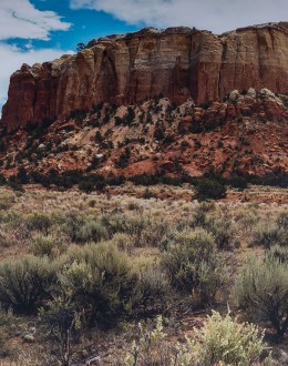Arizona Framed Artwork