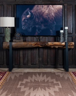 Black Bison Framed Print