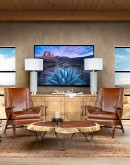 large horizontal painting of an agave