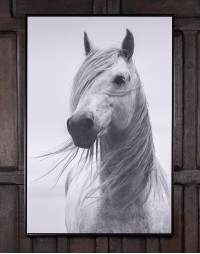 Braveheart Framed Art Print