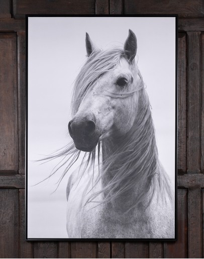 Braveheart Framed Art Print