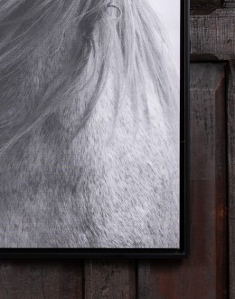 Braveheart Framed Art Print