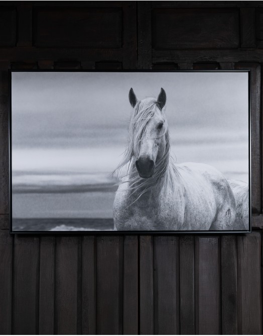 Breeze Framed Art Print