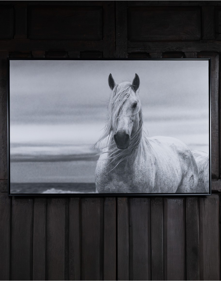 Breeze Framed Art Print