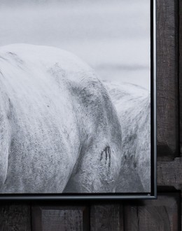 Breeze Framed Art Print