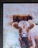 High-quality canvas print of 'Courageous Friendship', showcasing a long-haired calf in a peaceful pasture, framed with a boxed black frame, reflecting a classic farmhouse or western style.
