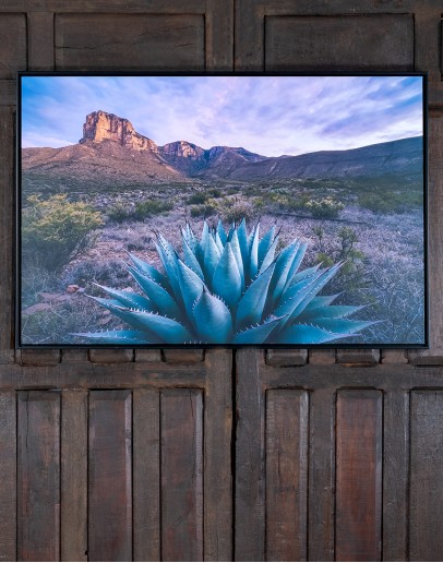 Desert Dreams Framed Art Desert Dreams Framed Art