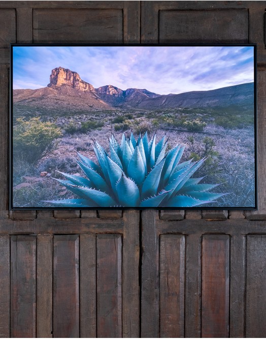 Desert Dreams Framed Art