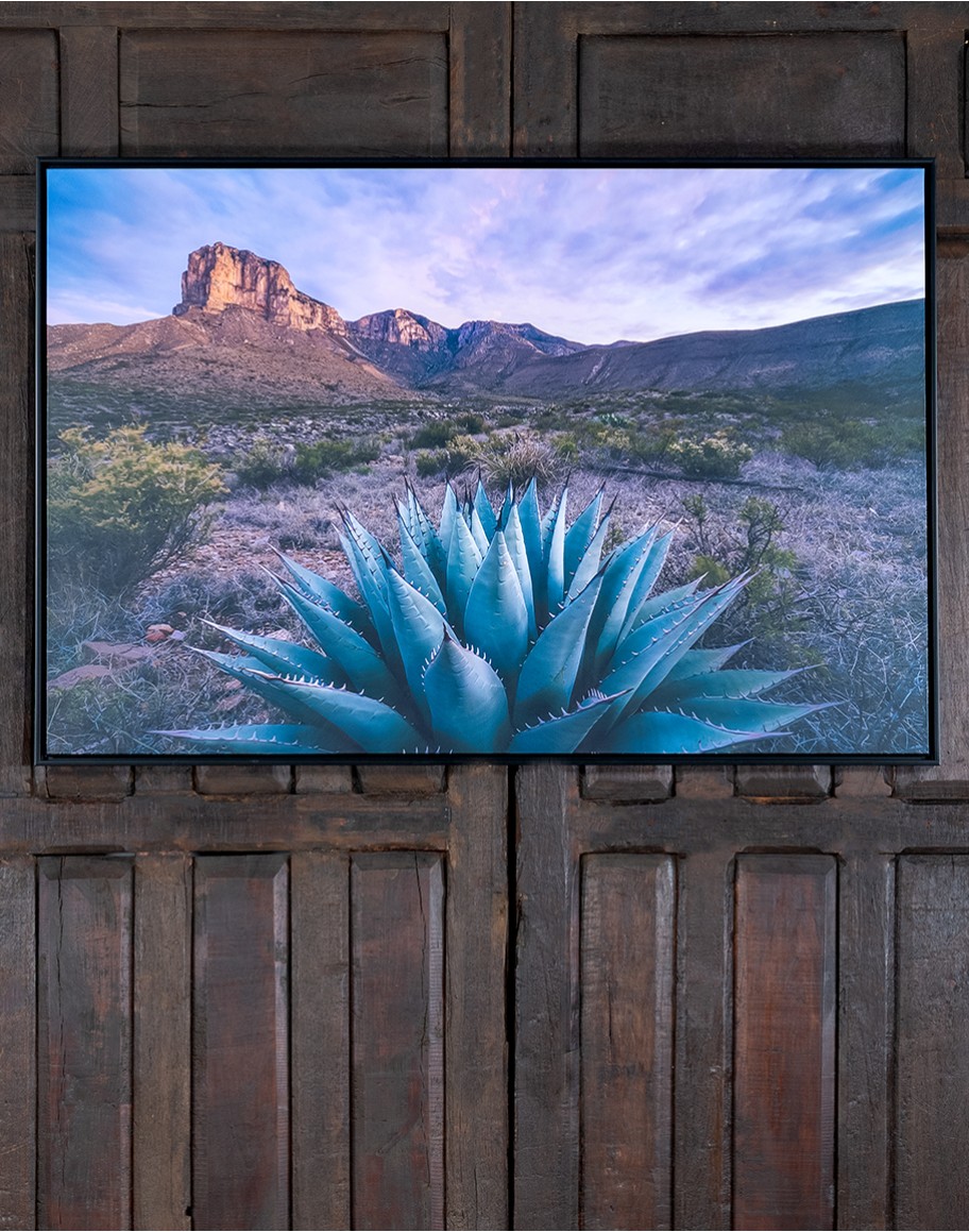 Desert Dreams Framed Art