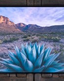 large horizontal painting of an agave