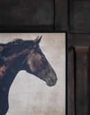 Galloping Grace Horse Framed Artwork