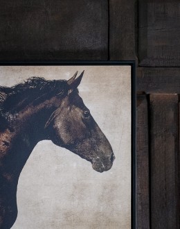 Galloping Grace Horse Framed Artwork