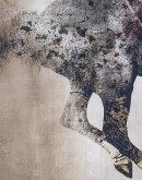 Galloping Grace Horse Framed Artwork