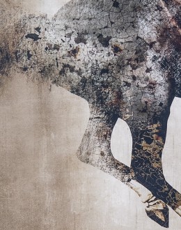 Galloping Grace Horse Framed Artwork