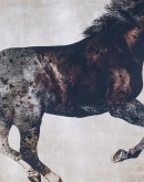 Galloping Grace Horse Framed Artwork