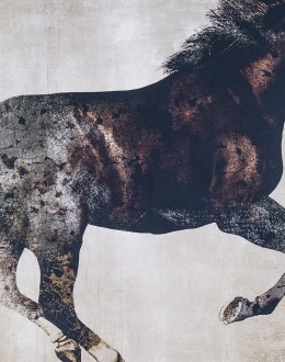 Galloping Grace Horse Framed Artwork