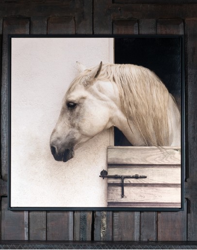 Horse Stable Framed Print Horse Stable Framed Print
