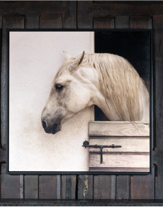 Horse Stable Framed Print