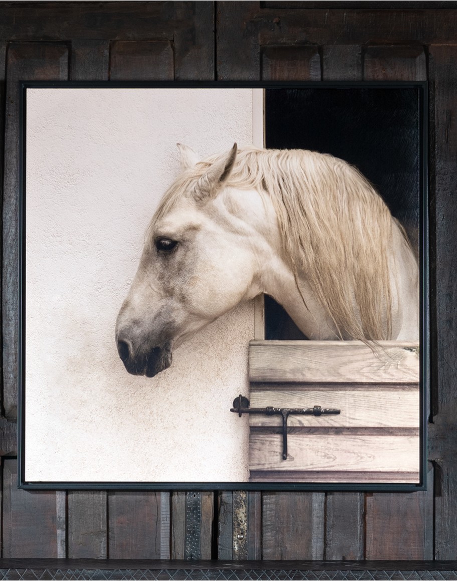 Horse Stable Framed Print