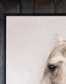 Square-framed portrait artwork of a white horse in a natural stable setting, encapsulated within a matte black wooden frame, reflecting a rustic farmhouse and western style aesthetic.