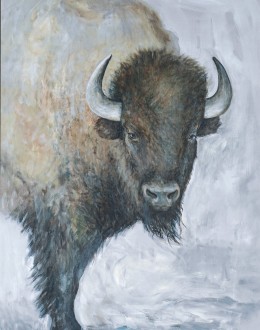 Majestic Bison Western Artwork