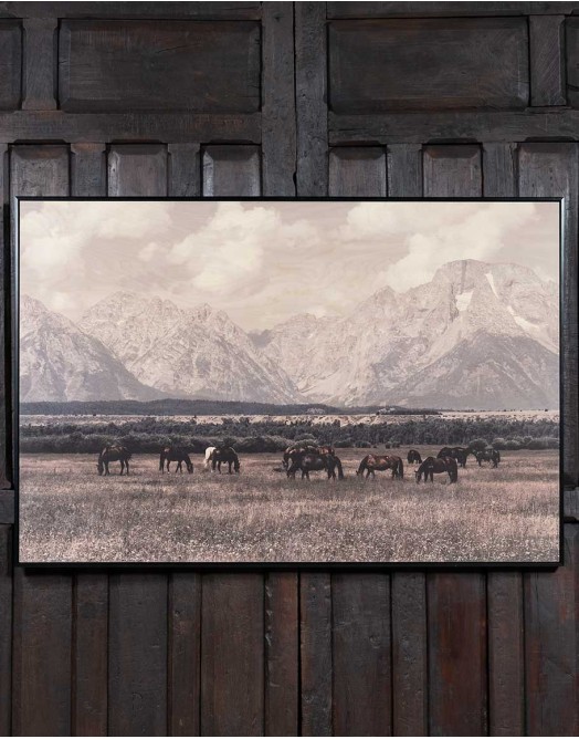 Majestic Horizon Framed Art