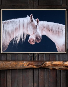 Mirrored Beauty Framed Print Mirrored Beauty Framed Print