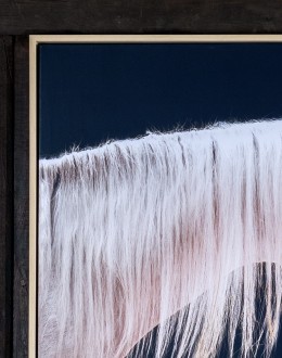 Mirrored Beauty Framed Print