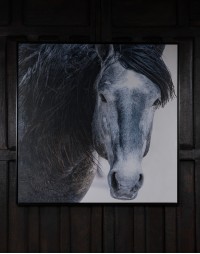 Old Blue Western Framed Artwork