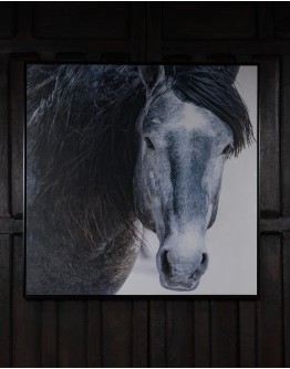 Old Blue Western Framed Artwork