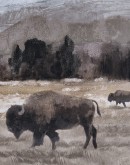 On The Range Framed Artwork