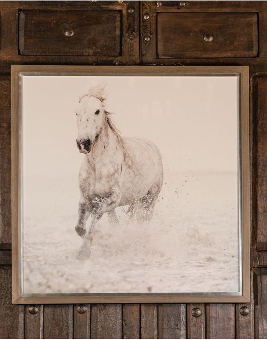 Running Wild Framed Print