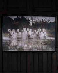 Wild Run Western Framed Artwork