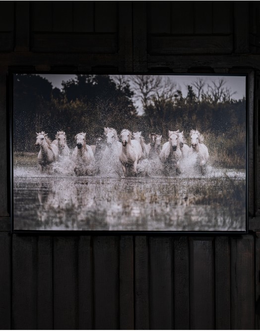 Wild Run Western Framed Artwork