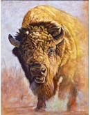 framed painting of american buffalo,western paintings