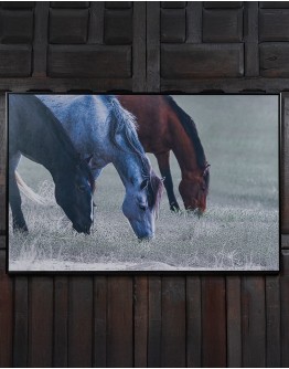 Three Amigos Framed Art Three Amigos Framed Art