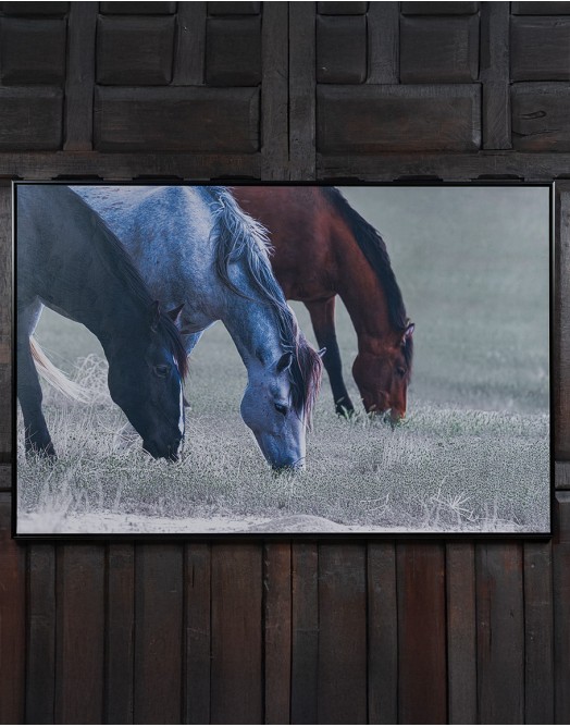Three Amigos Framed Art