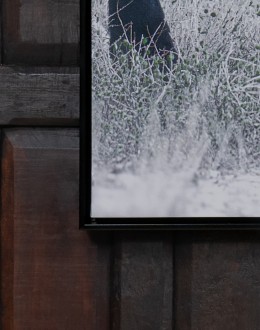 Three Amigos Framed Art