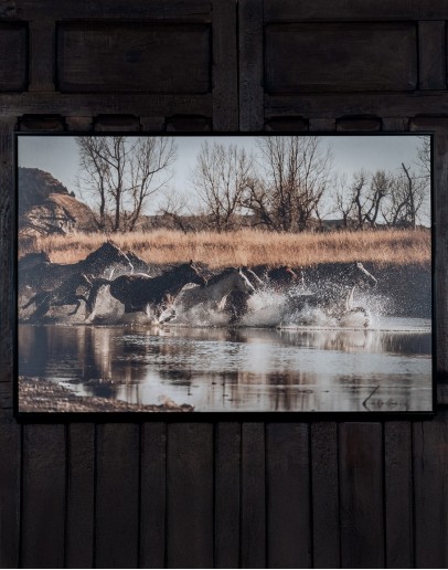 Unbridled Motion Framed Artwork