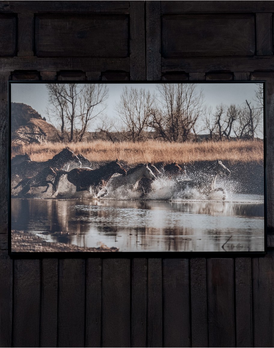 Unbridled Motion Framed Artwork